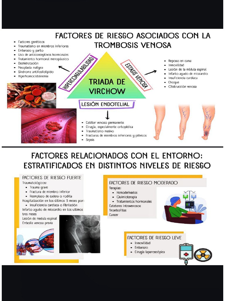 factores-de-riesgo-triada-de-virchow-pdf