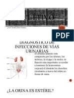 Urocultivo