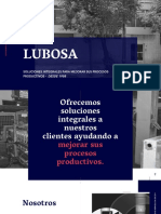 Presentación de Productos y Servicio LUBOSA
