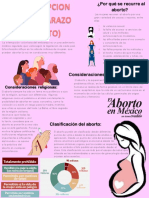 Infografia (Interupcion Del Embarazo)