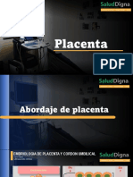 Placenta