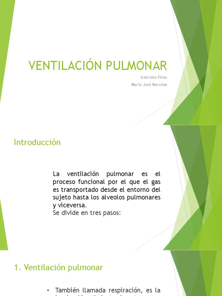 Ventilación Pulmonar PDF Pulmón Respiración