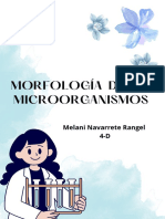 Morfologia de Microorganismos Melani Navarrete 4 D
