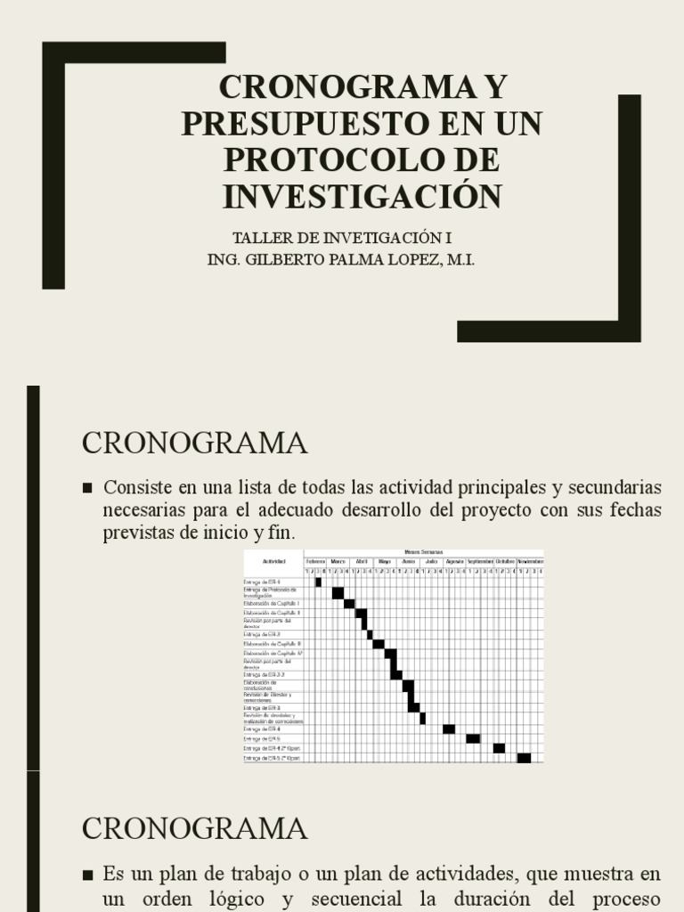 Cronograma y Presupuesto en Un Protocolo de Investigación | PDF