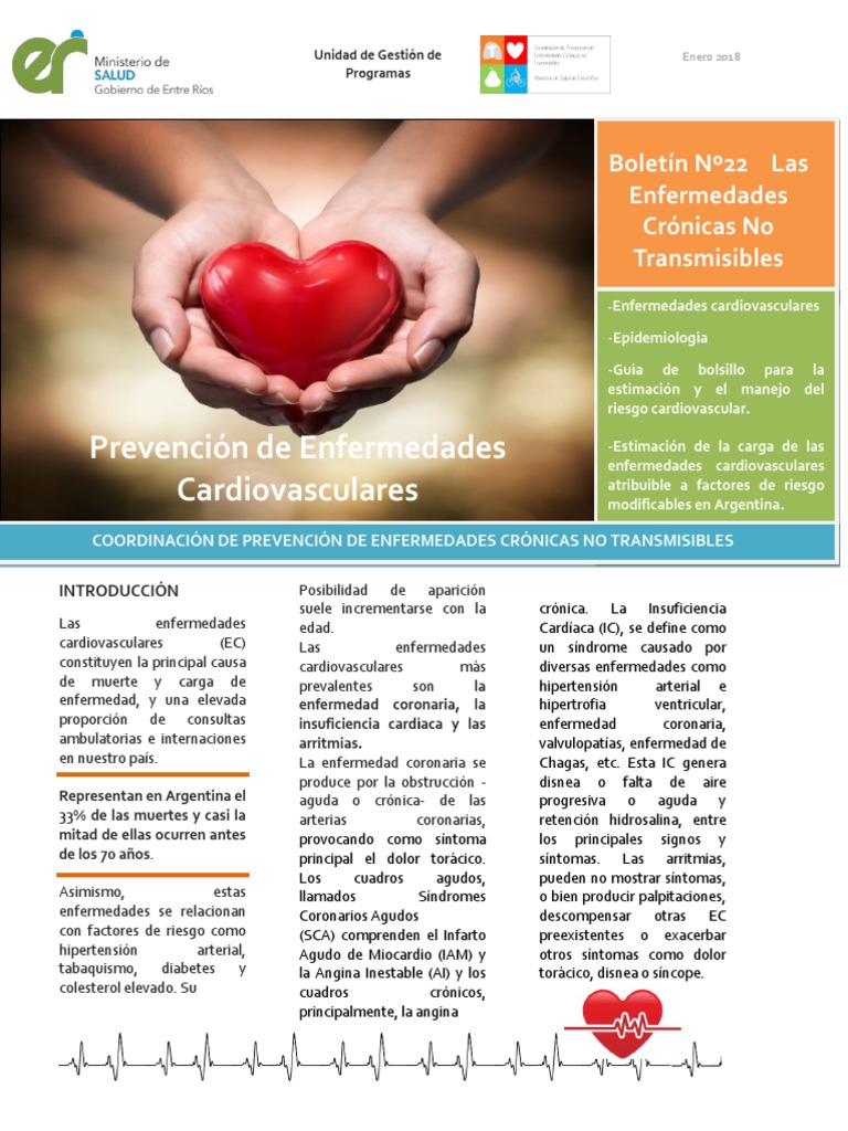 Boletin Ecnt n22 Enfermedades Cardiovasculares | PDF | Enfermedades ...
