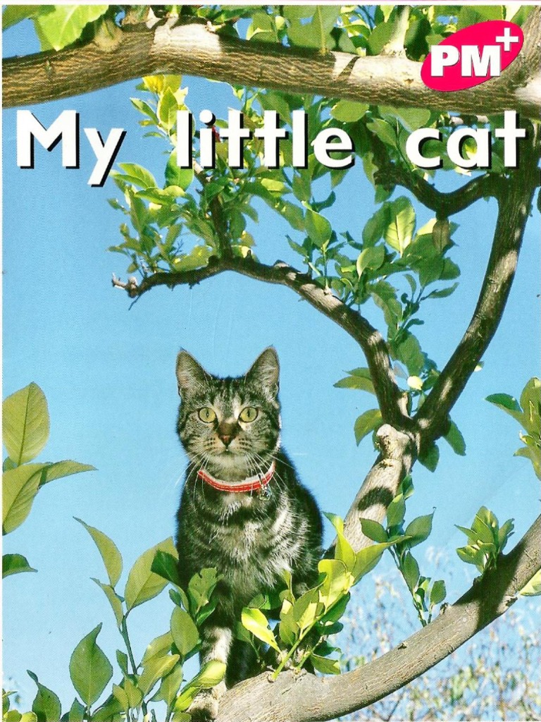 My Little Cat | PDF