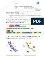 LECCION-SEGUNDO-BACH-BIOLOGIA. Mia Gómez