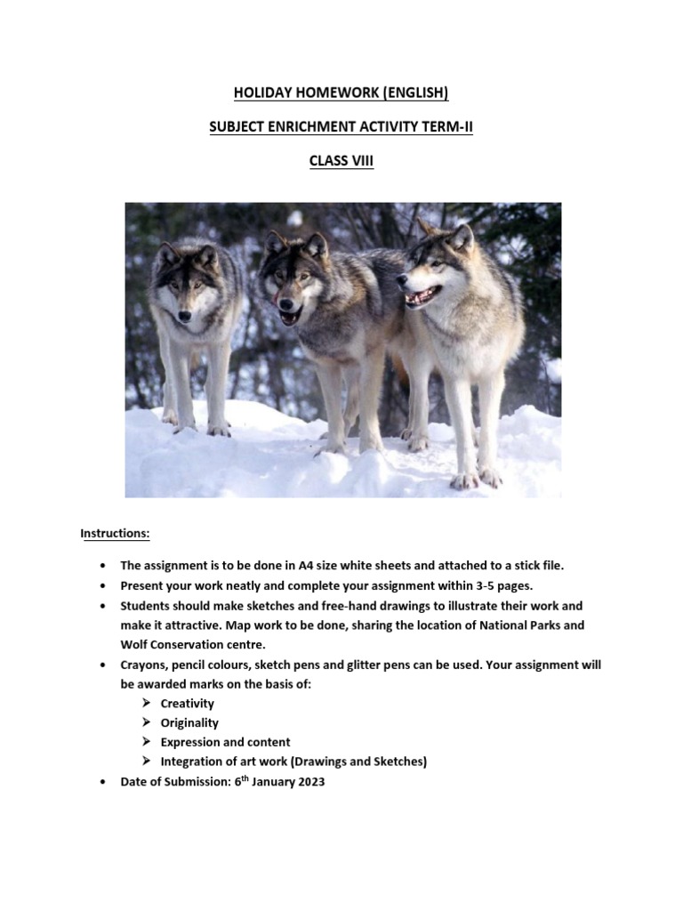 CL 8 English Holiday Homework | PDF | Social Science | Art