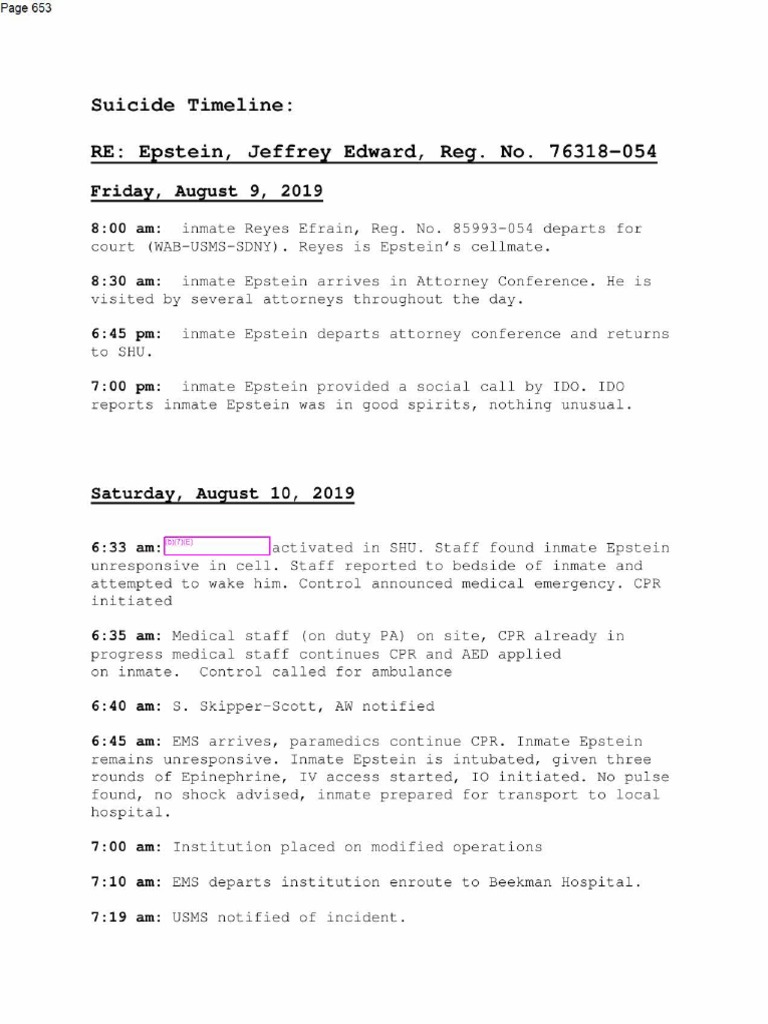 Epstein Suicide Incident Timeline | PDF | Social Science | Science ...