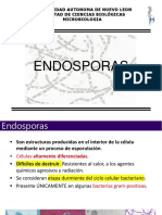4 Endosporas