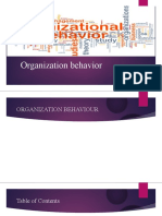 Organization Behavior