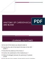 CVS and Blood Anatomy - 2