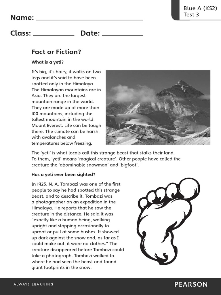 Blue A Ks2 Test3 PDF Yeti