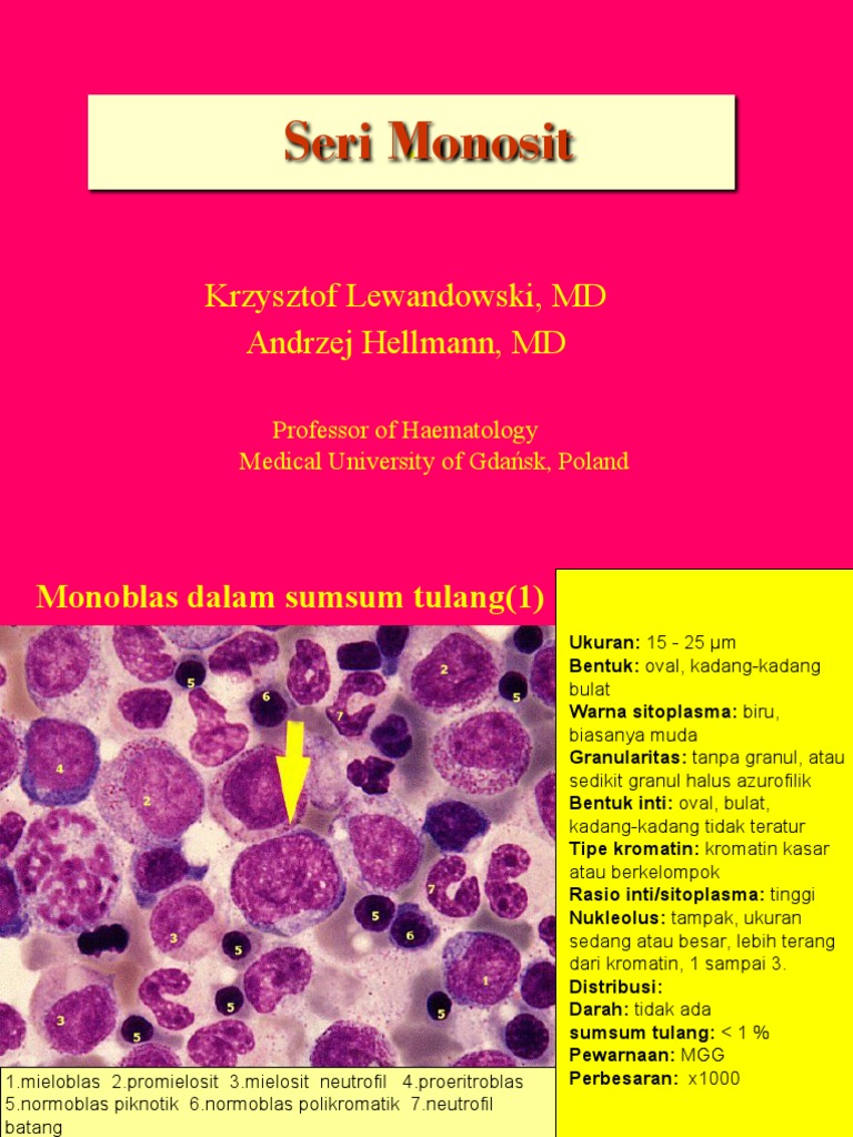 Ciri dan Struktur Monosit dalam Darah | PDF