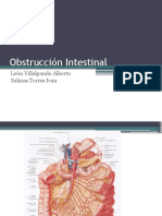 Obstrucción Intestinal