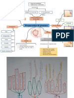 MAPAS - Complicaciones en El Embarazo