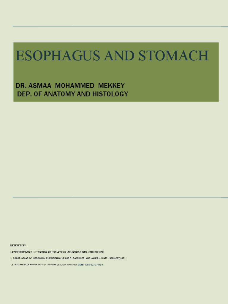 Esophagus & Stomach PDF
