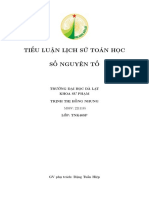 Tiểu luận số nguyên tố