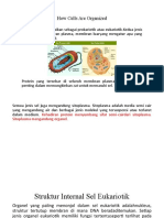 How Cells Are Organized