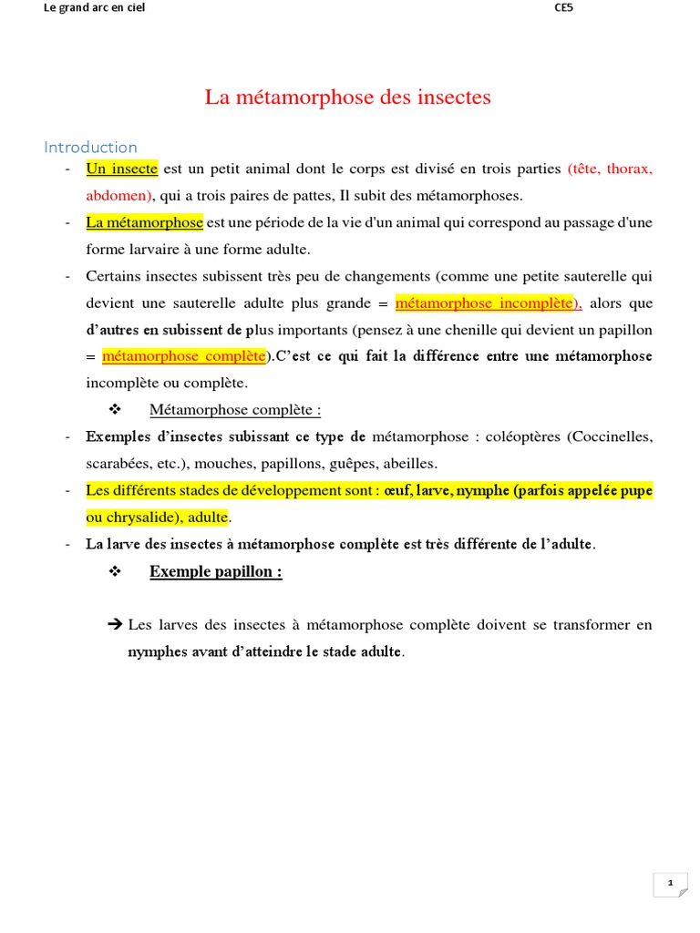 Métamorphose des insectes expliquée | PDF | Insectes | Larve