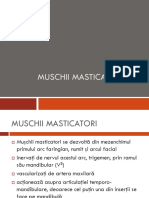 MUSCHII MASTICATORI 2