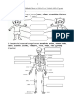 1raevaluación Trimestral Ciencia y Tecnología 2º Grado 70550