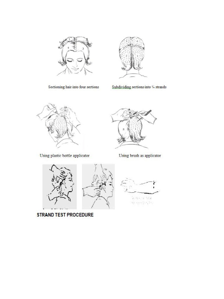 Forillustrationtle10hairdressing PDF