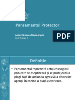 Pansamentul Protector