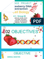 Project Group #6 Strawberry DNA Extraction 11 de Abril