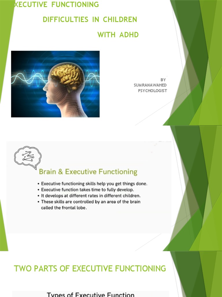 Executive Functioning | PDF