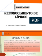 Reconocimiento de Lípidos-Práctica-Grupo A