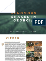 Venomous Snakes in Georgia 