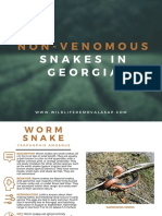 Non-Venomous Snakes in Georgia