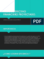 FLUJO DE EFECTIVO FINANCIERO PROYECTADO (3)
