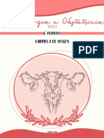 Apostila Ginecologia e Obstetrícia 6º P - Gabriela de Souza
