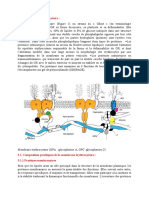 La Membrane Érythtrocytaire