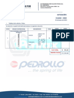 E11618 - 2023 4SR60G100 Sumergible Pedrollo