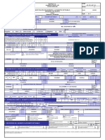 Formato Investigación Excel