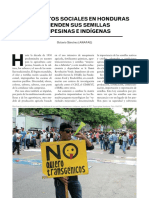 Movimientos Sociales en Honduras Defienden Sus Semillas Campesinas e Indígenas - Biodiversidad 115