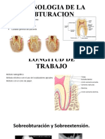 Cronologia de La Obturacion - Longitud de Trabajo