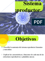 Aparato Reproductor