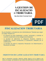 Gestion de Fiscalizacion