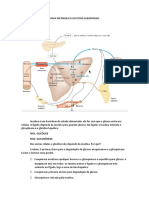 Mapa Metabolico Do Estado Alimentado