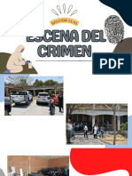 Escena Del Crimen Sección 1101