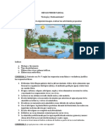 Repaso Primer Parcial Ecología