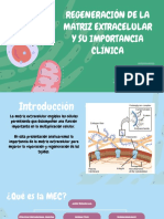 Regeneración de La Matriz Extracelular y Su Importancia Clínica