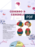 Presentacion Cuerpo Humano Organico Ilustrado Morado Pastel