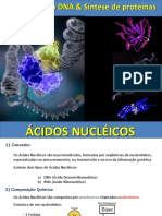 Biologia - Ác. Nucléicos - Síntese Protéica - 2