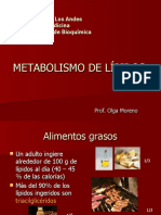 Digestión y Absorción