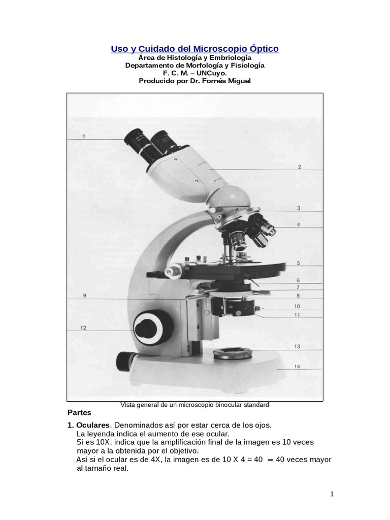 Microscopio Per Bambini, Microscopio Portatile Per Bambini, Kit Scientifico Educativo Per Bambini, Microscopio Per Principianti Con LED 100X 400X E 1200X Incl. Diapositive Preparate Con Campione, 12 - Foto 8